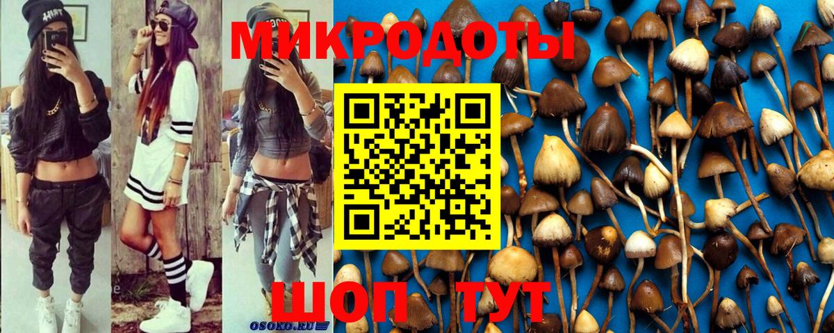 Псилоцибиновые грибы MAGIC MUSHROOMS Зеленокумск